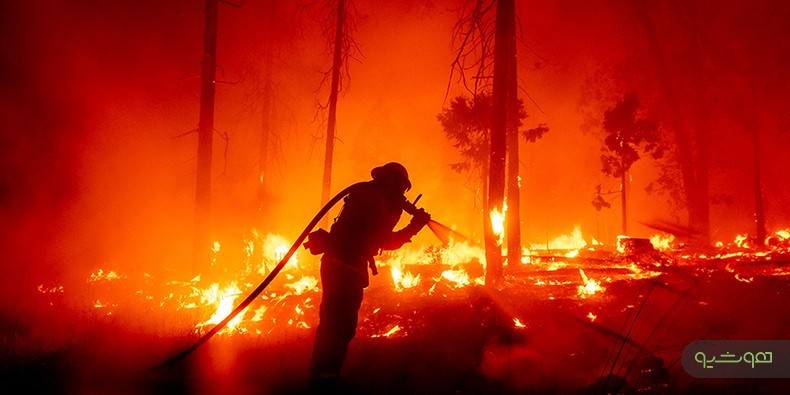  هوش مصنوعی سریع‌تر از انسان می‌تواند آتش سوزی جنگل ها را تشخیص دهد