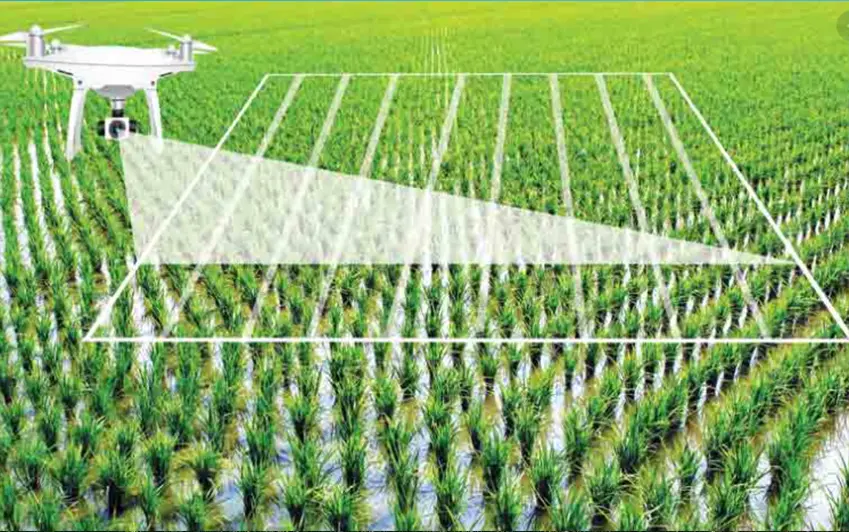 فناوری هوش مصنوعی در کشاورزی