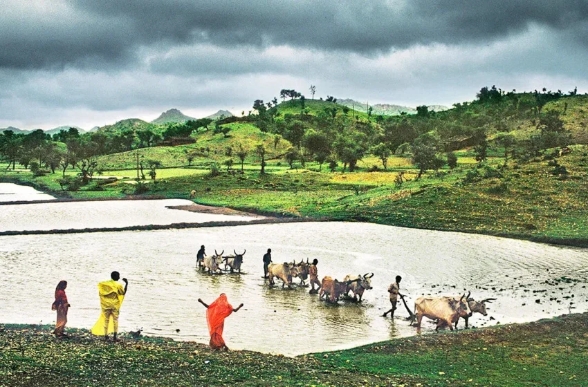  خیزش هواشناختی