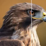 پرامپت هوش مصنوعی افزایش کیفیت عکس