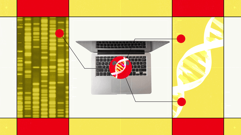 اگر زیستشناس هستید، اکنون میتوانید با مدل متنباز Carbon-X با DNA حرف بزنید + کد اجرای لوکال پایتون 4 اگر زیستشناس هستید، اکنون میتوانید با مدل متنباز Carbon-X با DNA حرف بزنید + کد اجرای لوکال پایتون