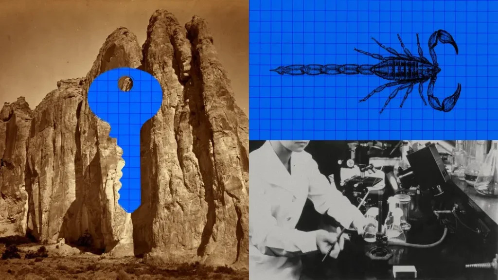 آیا Claude واقعاً فقط در ۶۴ ساعت، پادزهری برای سم عقرب طراحی کرده است؟ 2 آیا Claude واقعاً در تنها در ۶۴ ساعت، پادزهری برای سم عقرب طراحی کرده است؟